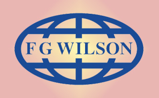 ✓ FG-Wilson 998-422 Фильтр топливный 