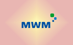 ✓ MWM 0403 3802 Запчасть MWM 